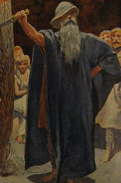The old man (Odin) places a sword into the tree Barnstokkr after entering the hall of the Völsungs.