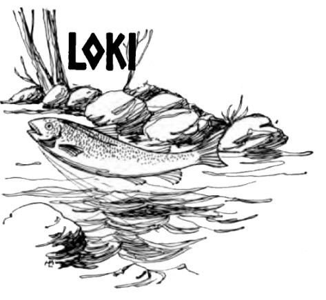 Loki as a salmon