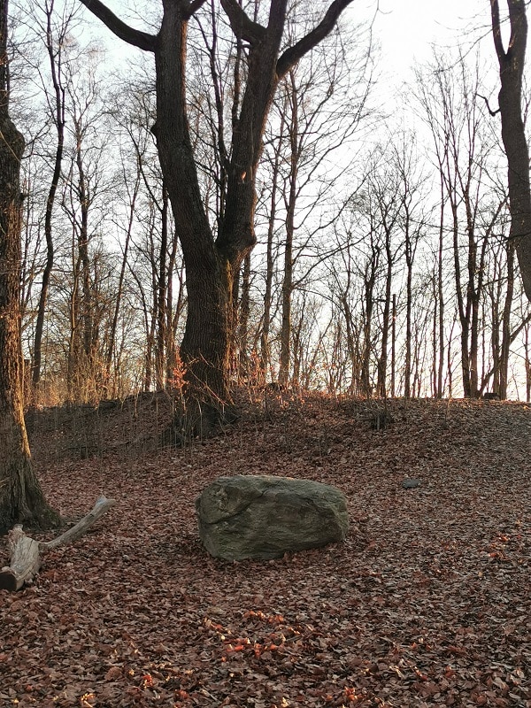 Viking Age burial mounds in Oslo