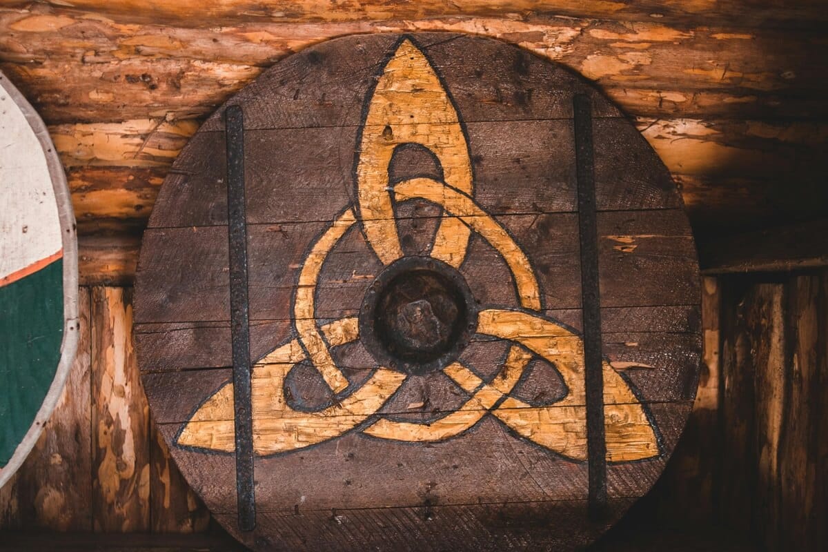 Viking shield